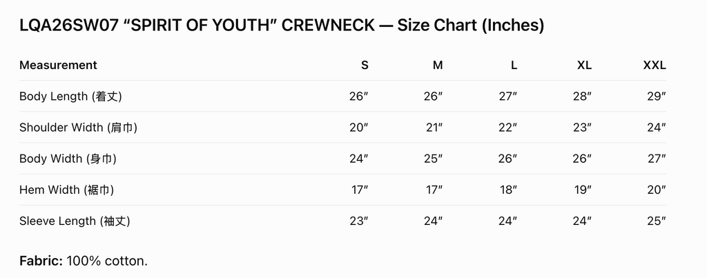 SPIRIT OF YOUTH Crewneck sweatshirt -Faded Black